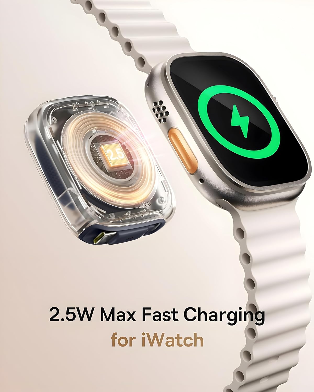 100W Type-C & Watch Charging Cable